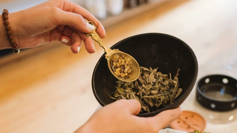 Naturopathe préparant des plantes médicinales lors d’une consultation en cabinet